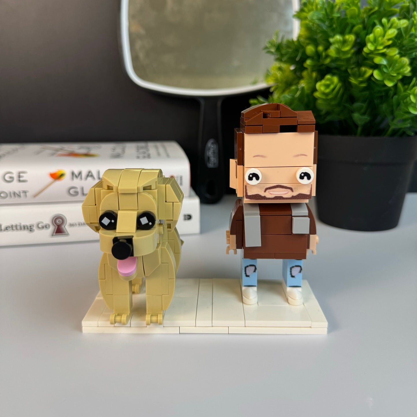 BrickPet and Person